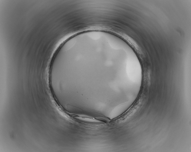X0000111030854200907161323
