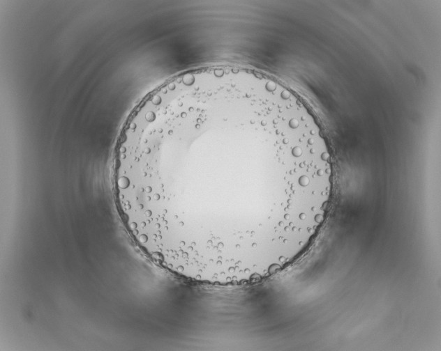 X0000111030856200907161323