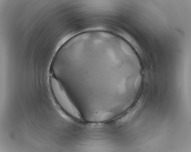 X0000111030858200907161323