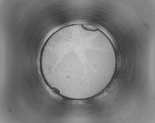 X0000111030861200907161323