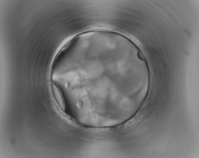 X0000111030864200907161323