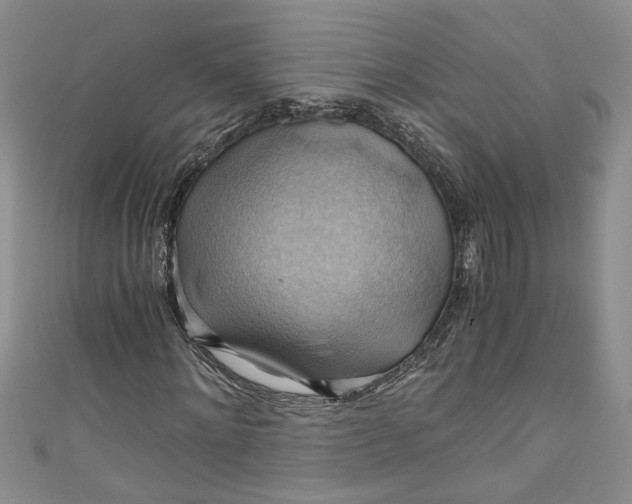 X0000111030868200907161323