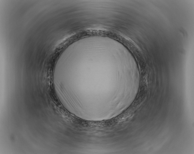 X0000111030870200907161323