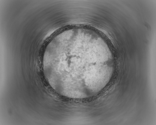 X0000111030871200907161323
