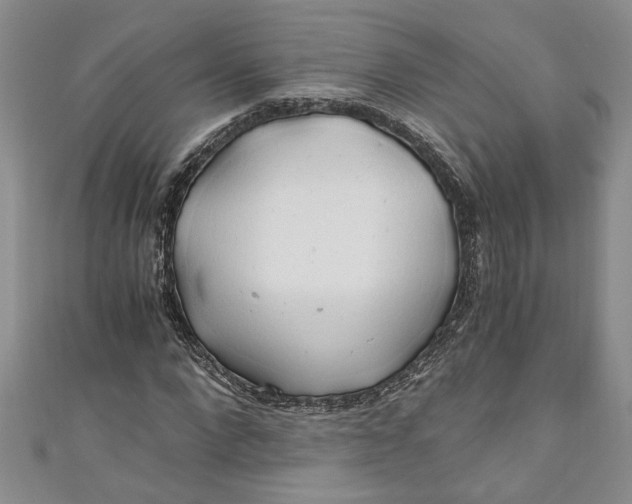 X0000111030872200907161323