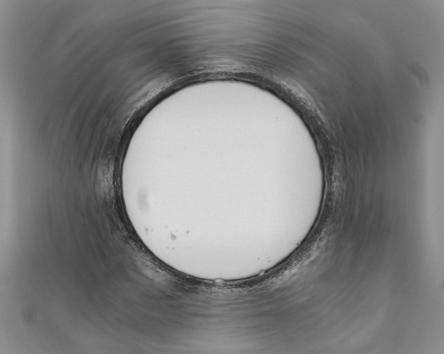 X0000111030873200907161323