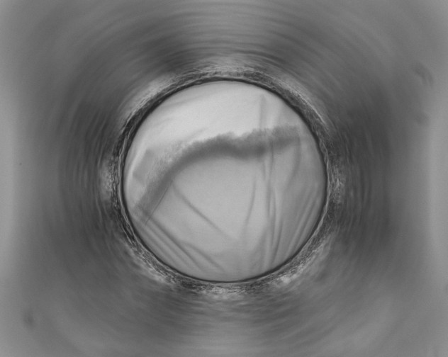 X0000111030874200907161323