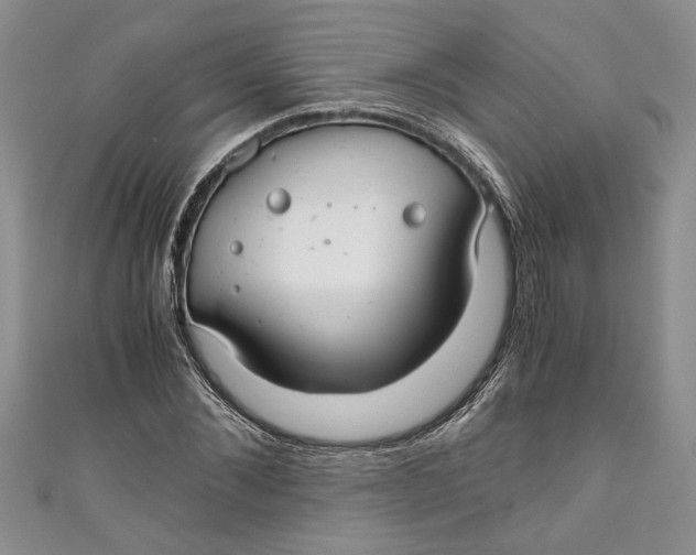 X0000111030876200907161323