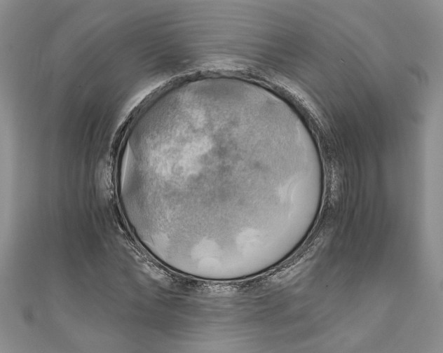 X0000111030878200907161323