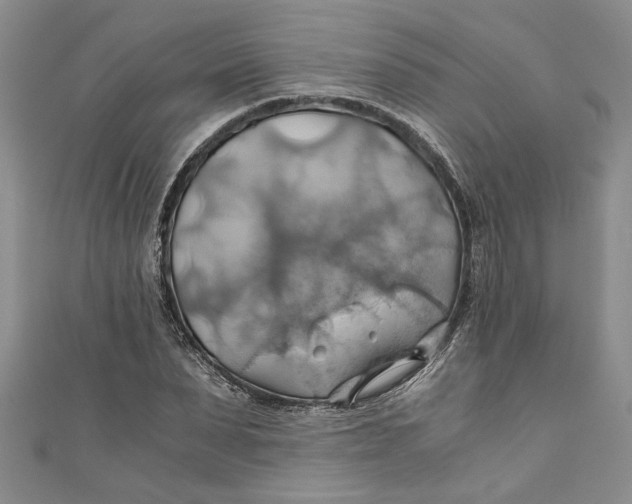 X0000111030879200907161323