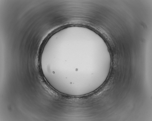 X0000111030880200907161322