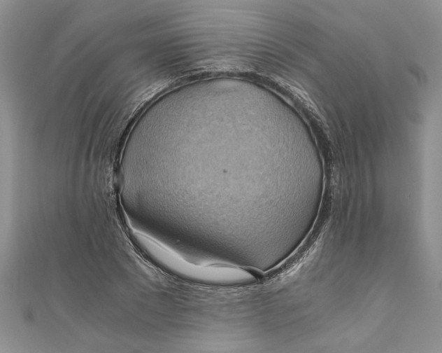 X0000111030881200907161322