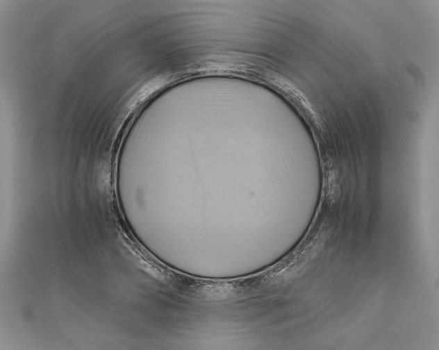 X0000111030882200907161322