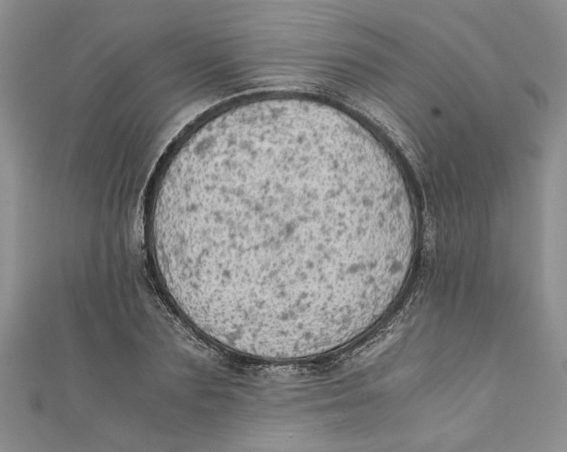 X0000111030883200907161322