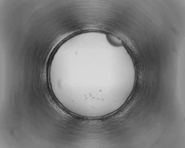 X0000111030884200907161322