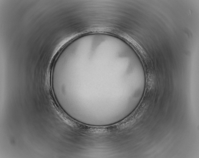 X0000111030886200907161322