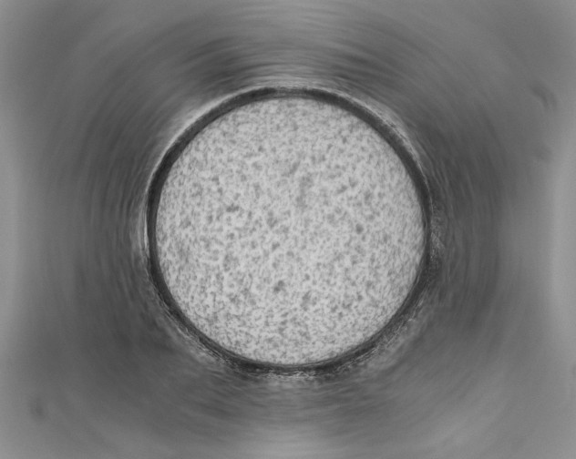 X0000111030887200907161322