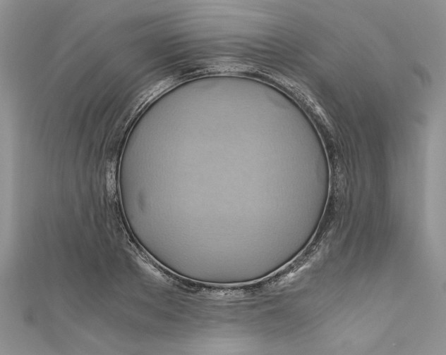 X0000111030889200907161322
