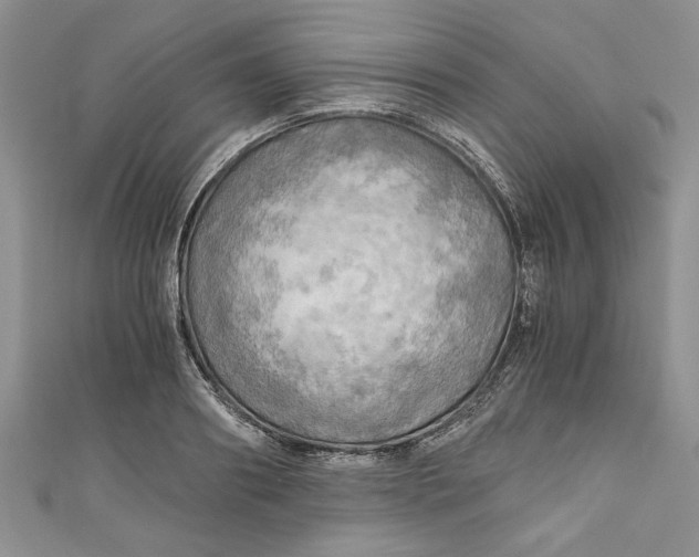 X0000111030890200907161322