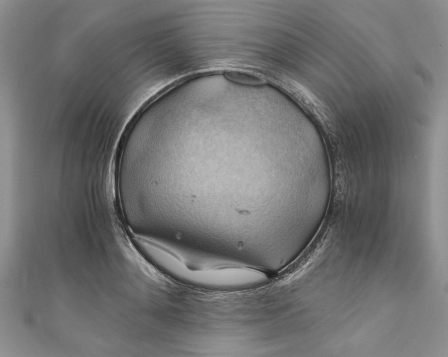 X0000111030892200907161322
