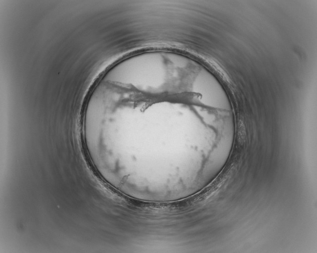 X0000111030895200907161322