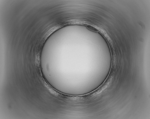 X0000111030897200907161322