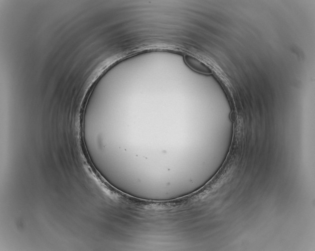 X0000111030898200907161322