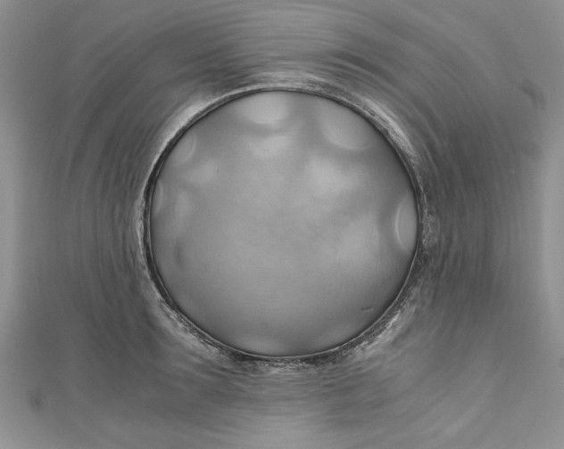 X0000111030899200907161322
