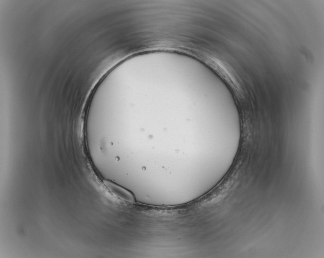 X0000111030900200907161322