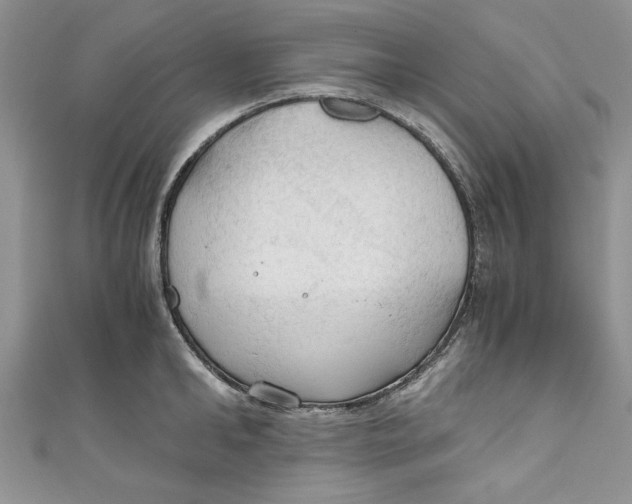 X0000111030902200907161322