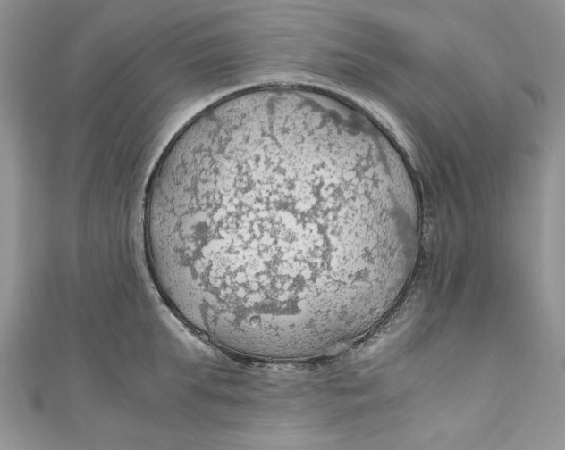X0000111030903200907161322