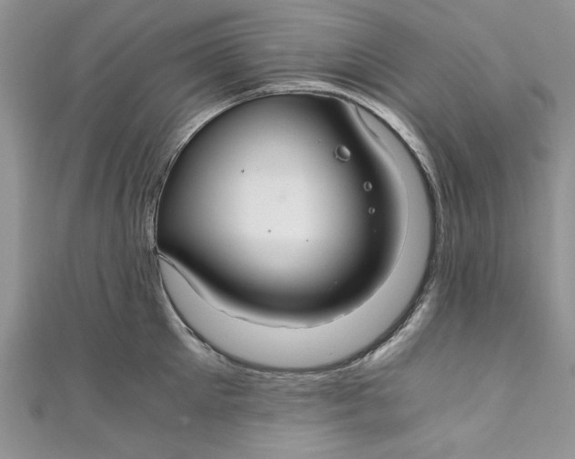 X0000111030905200907161322