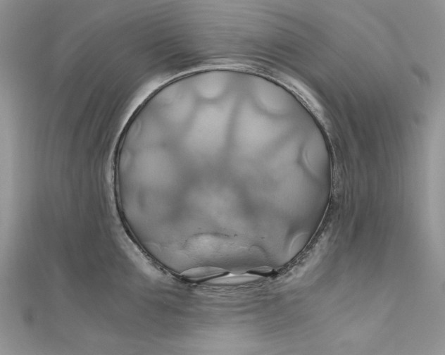 X0000111030907200907161322
