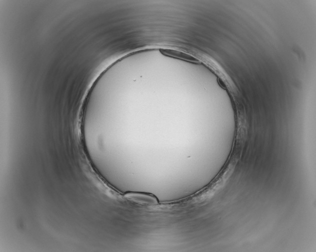 X0000111030908200907161322