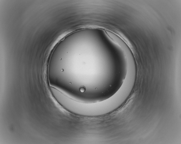 X0000111030909200907161322