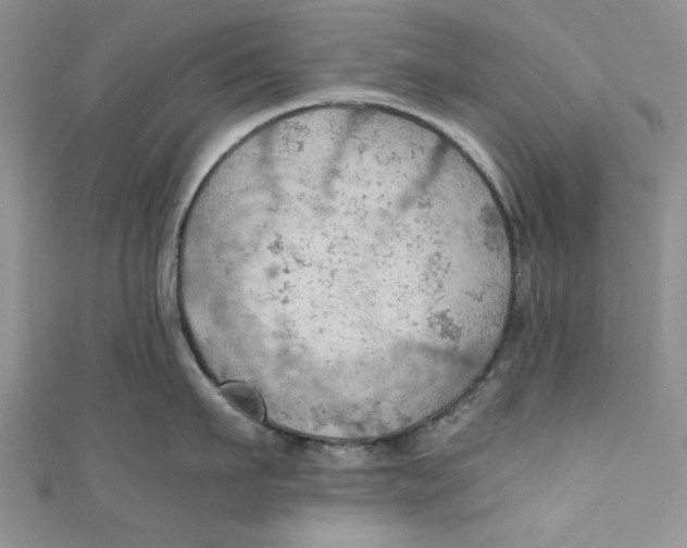 X0000111030911200907161322