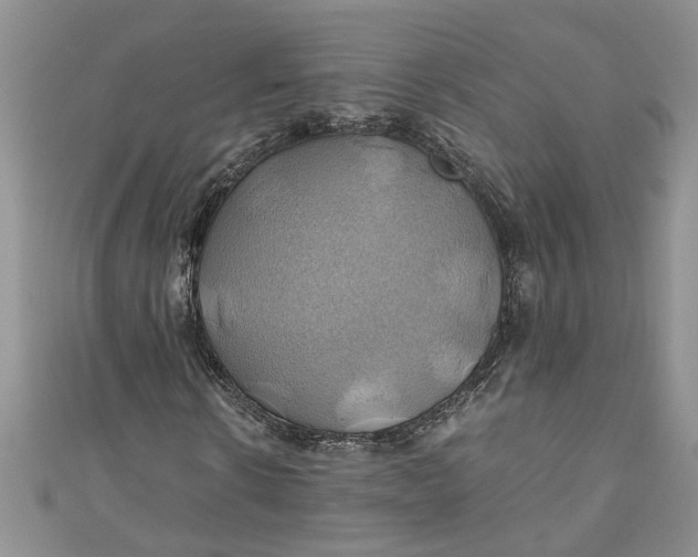 X0000111030914200907161321