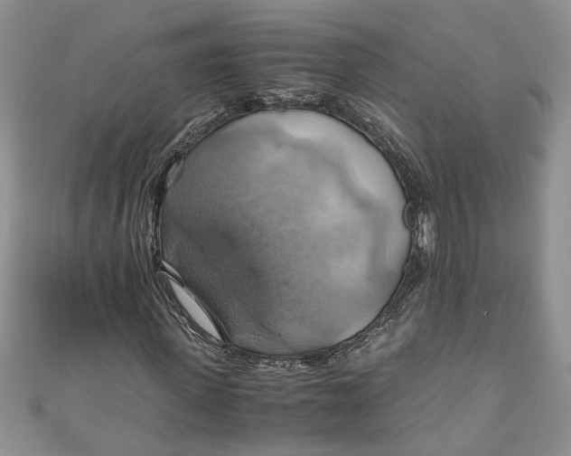X0000111030915200907161321