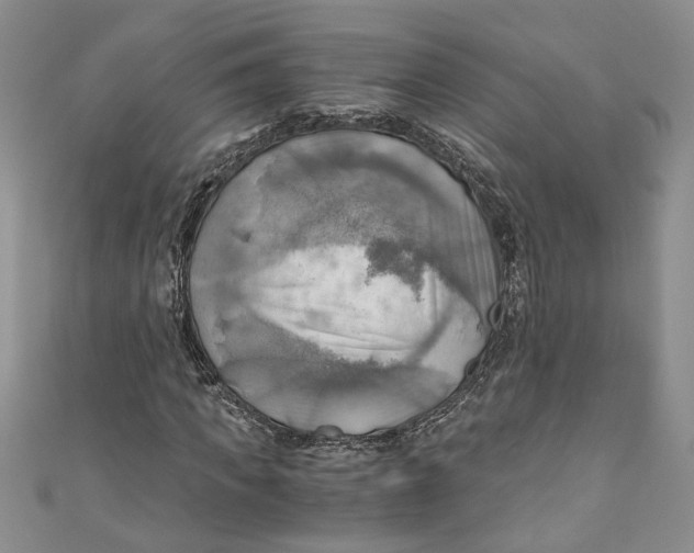 X0000111030917200907161322