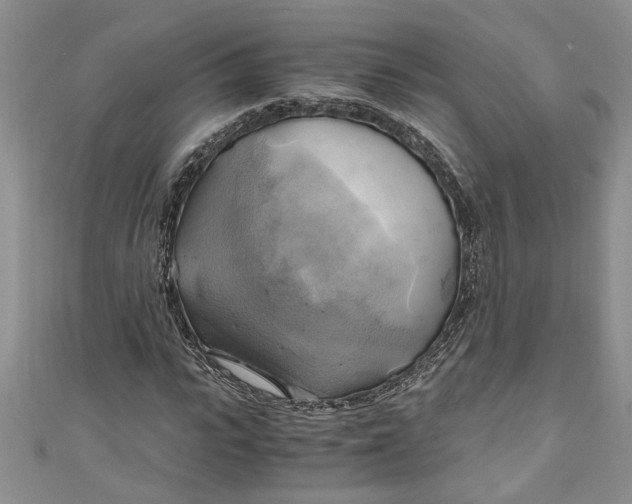 X0000111030919200907161322