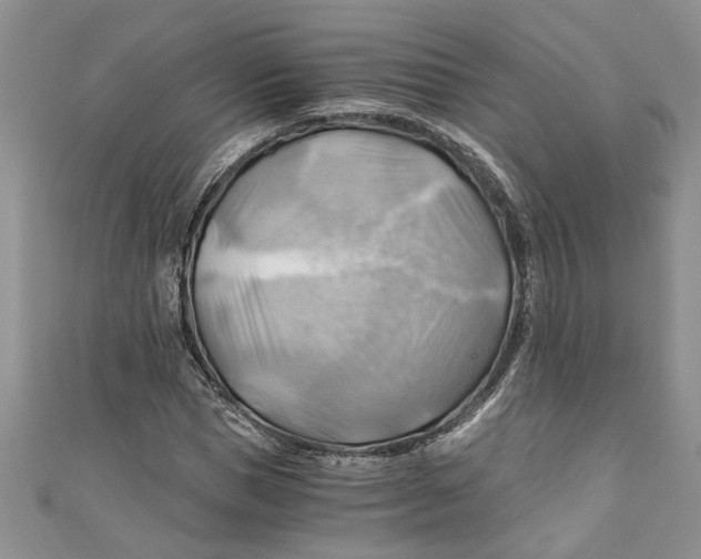 X0000111030921200907161322