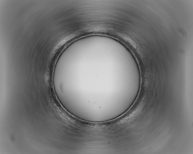 X0000111030922200907161322
