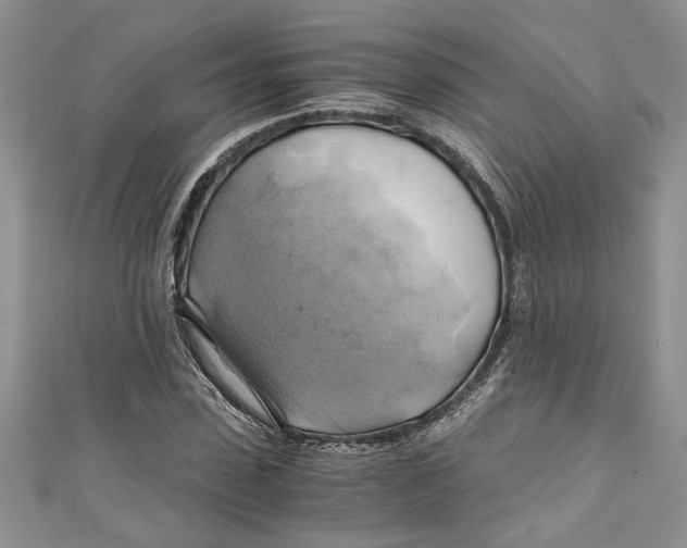 X0000111030923200907161322
