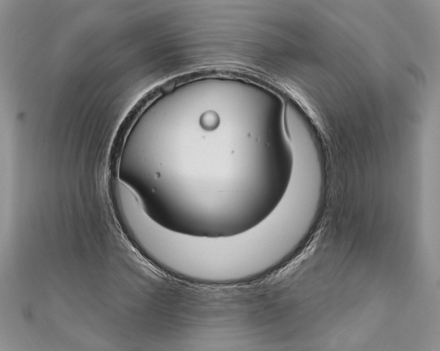X0000111030924200907161322