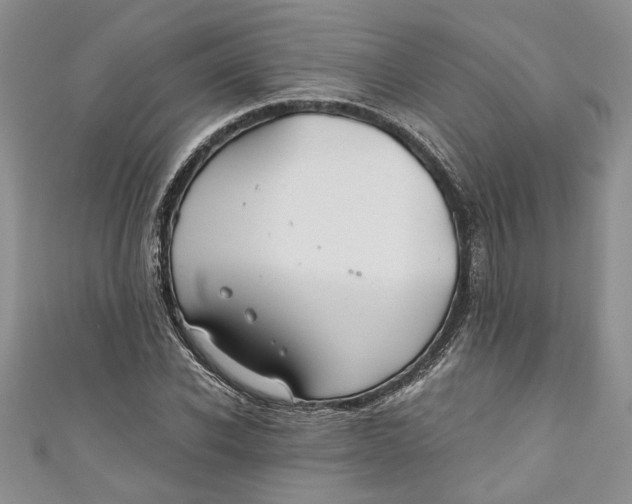 X0000111030926200907161322