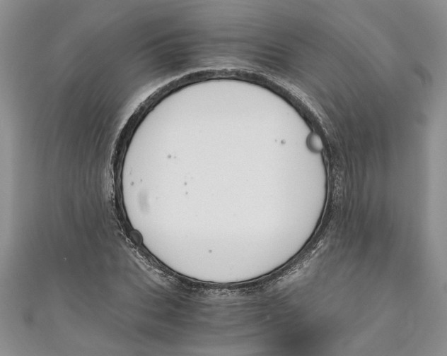 X0000111030927200907161322