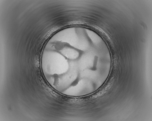X0000111030929200907161322