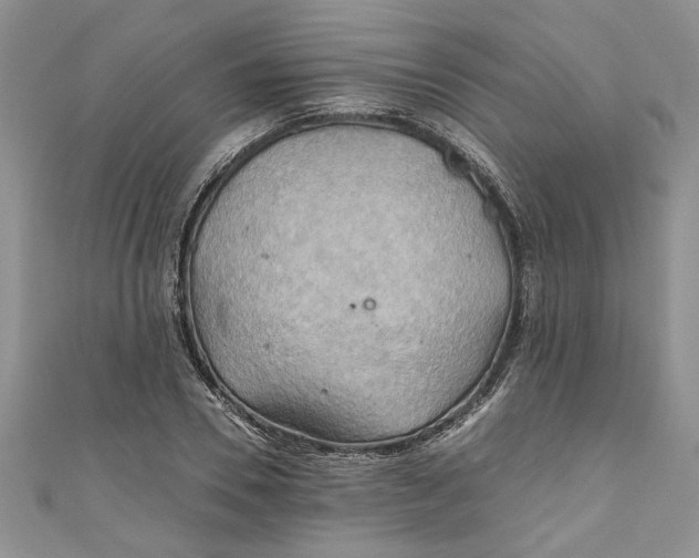 X0000111030930200907161322