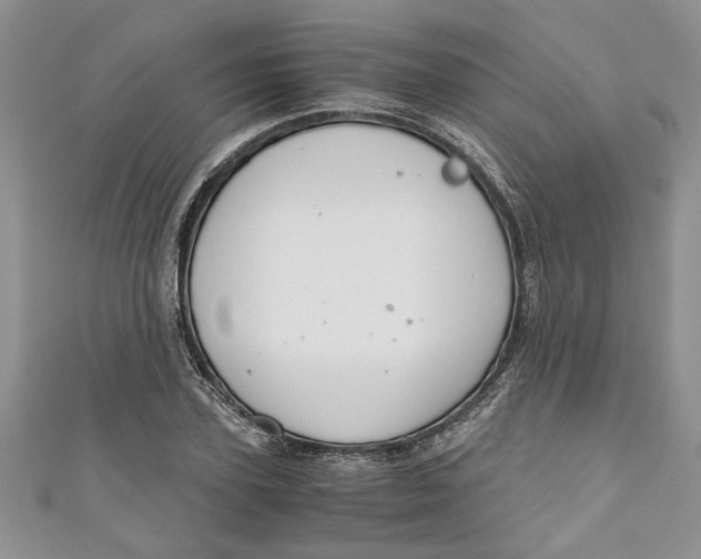 X0000111030931200907161322