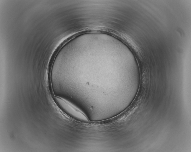 X0000111030932200907161322